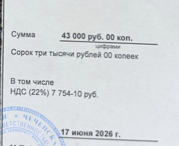Подтверждённая оплата 43 000 рублей